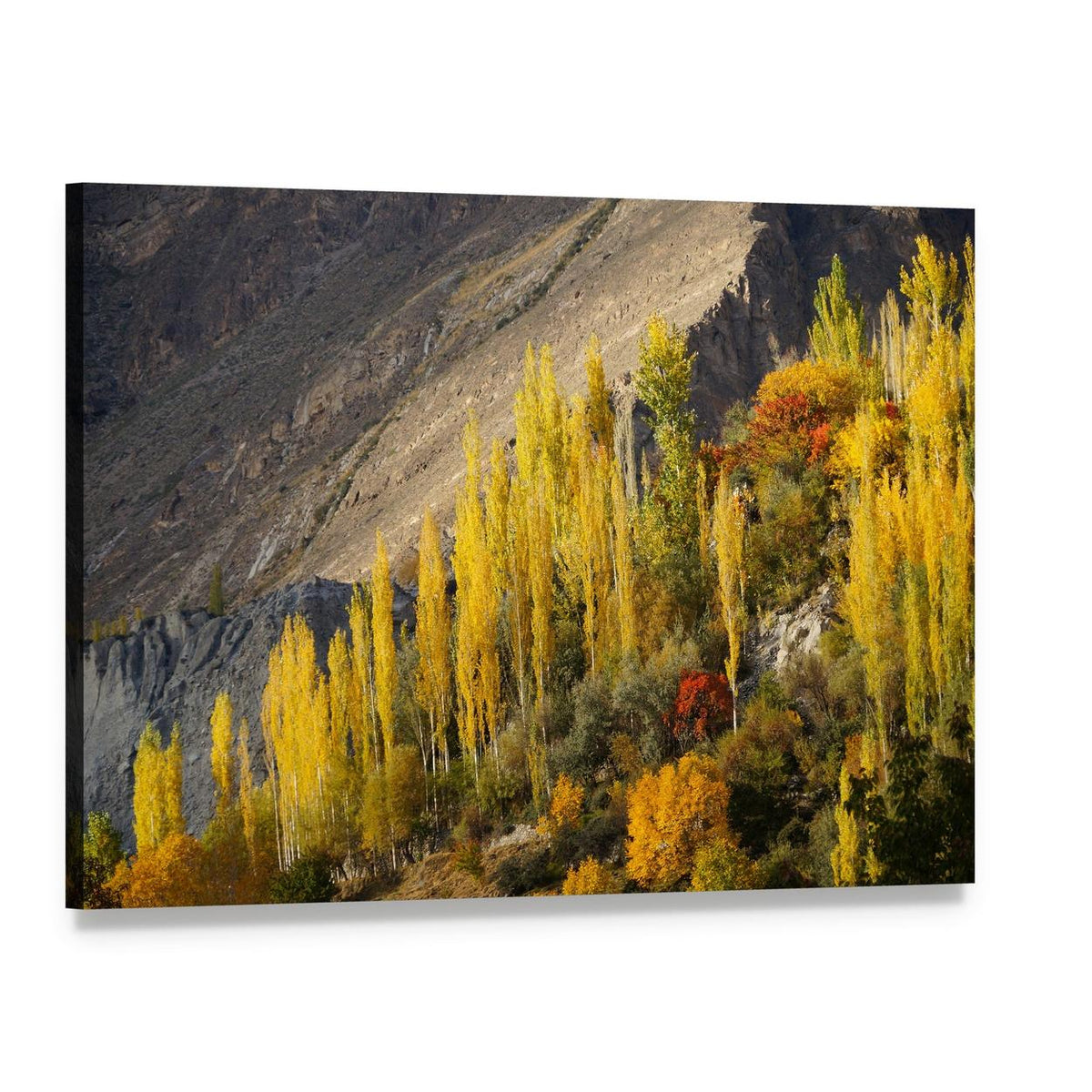 Hunza Valley Autumn Landscape Canvas Wall Art, single panel gallery wrapped canvas, angled product view