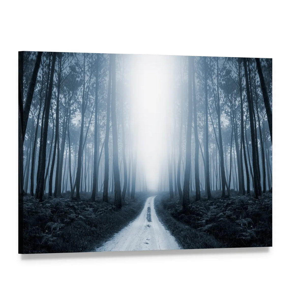 Scary Misty Road In The Forest Canvas Wall Art, single panel gallery wrapped canvas, angled product view