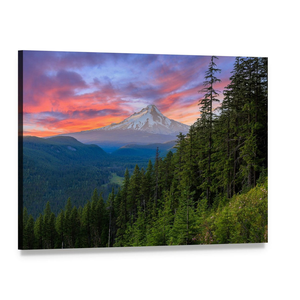 Snow-capped Mountain Sunset Over Evergreen Forest Canvas Wall Art, single panel gallery wrapped canvas, angled product view