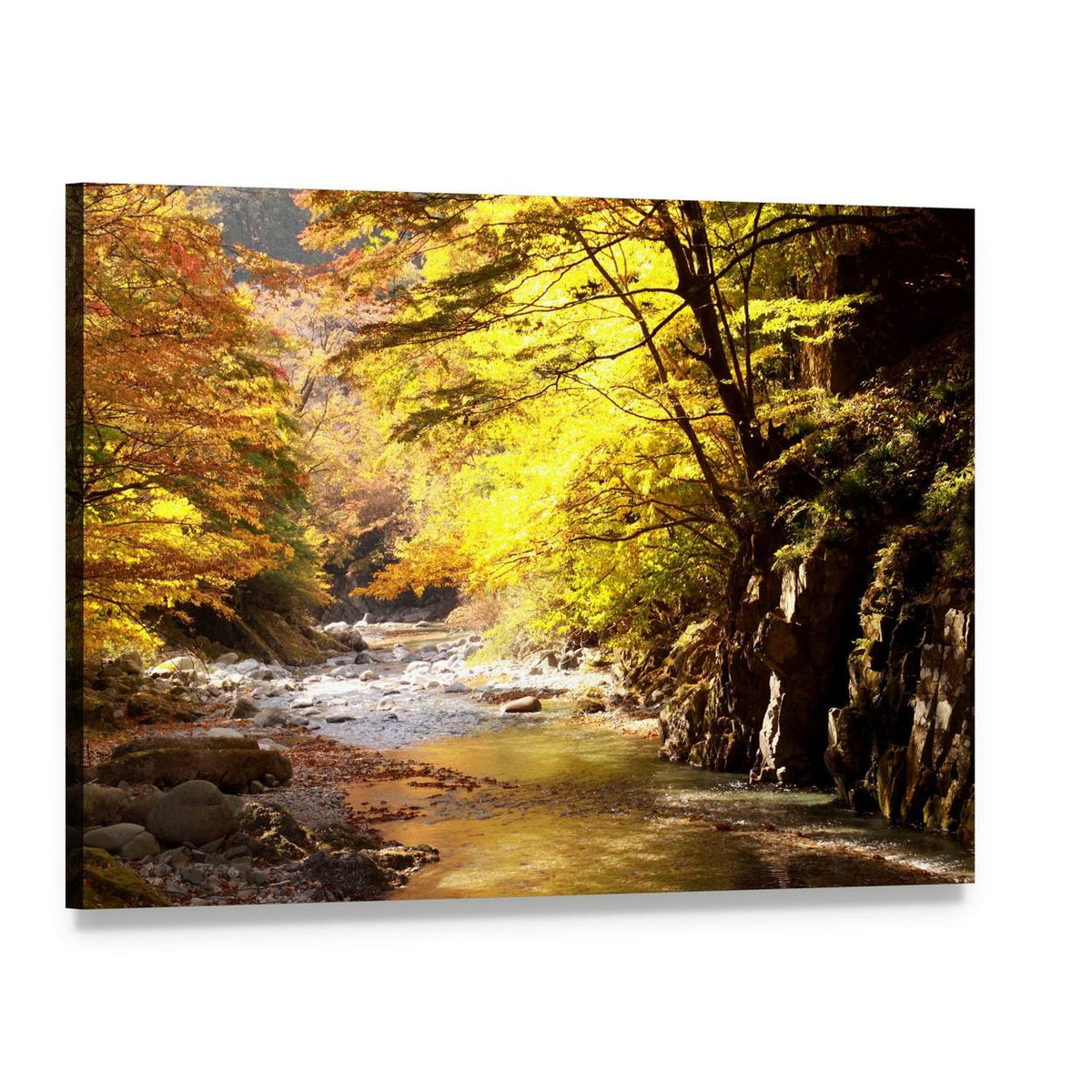 Sunlit Autumn Stream in Forest Canvas Wall Art, single panel gallery wrapped canvas, angled product view