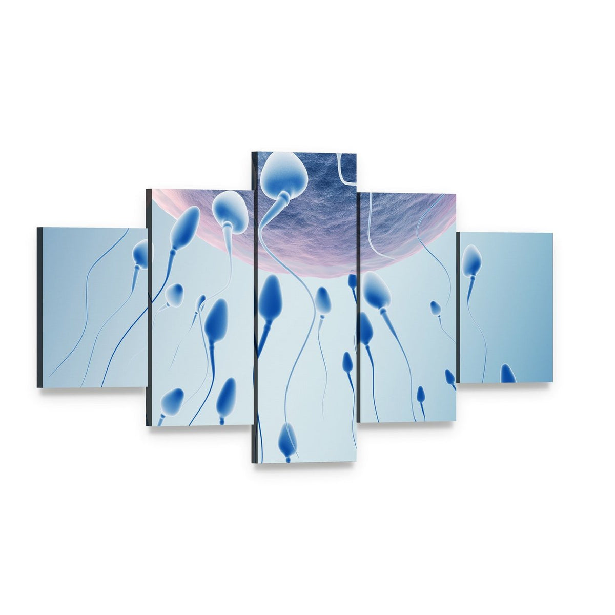 Sperm Approaching Egg Canvas Wall Art, 5 panel 5 Star layout gallery wrapped canvas set, angled product view