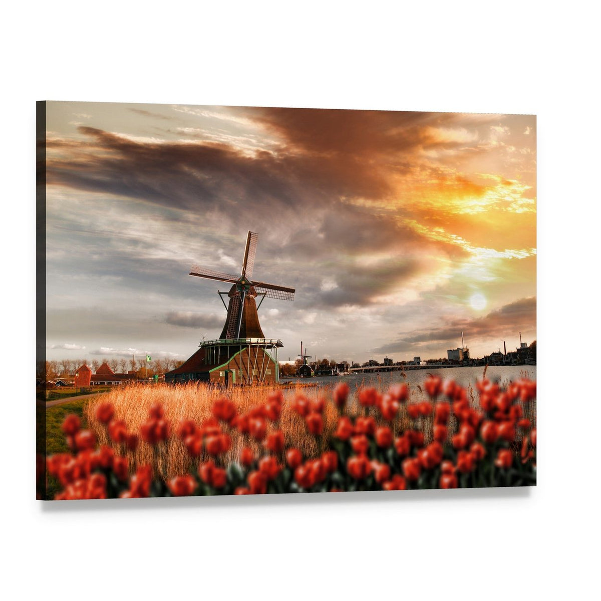 Dutch Windmill and Red Tulips at Sunset Canvas Wall Art, single panel gallery wrapped canvas, angled product view