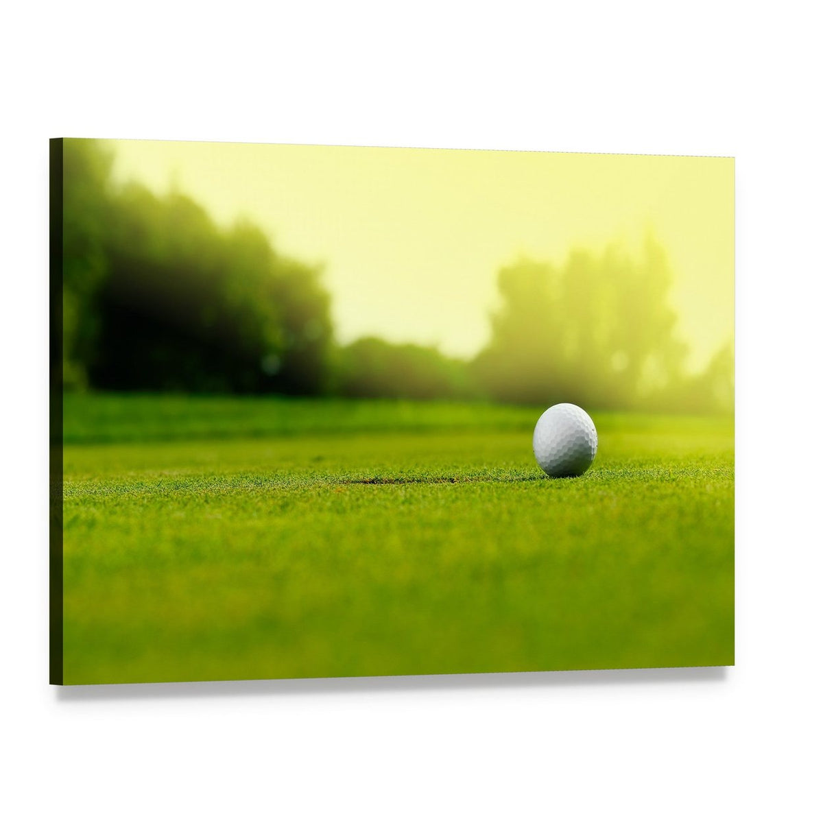 Golf Ball in the Hole Canvas Wall Art, single panel gallery wrapped canvas, angled product view