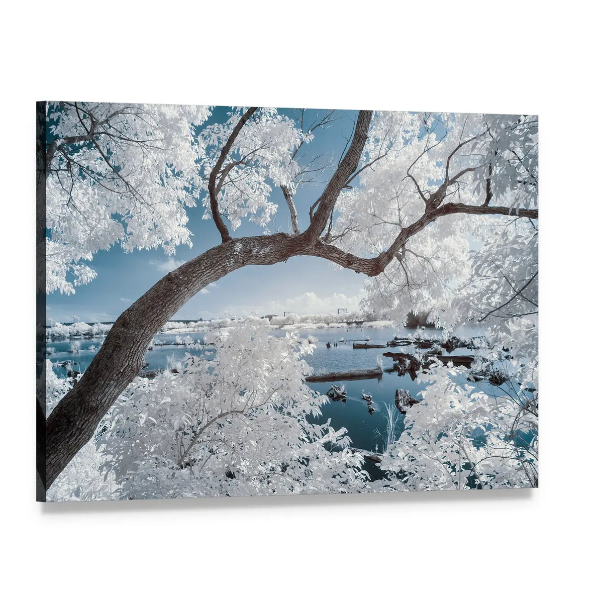 White-foliage Tree Over Forest Pond Canvas Wall Art, single panel gallery wrapped canvas, angled product view