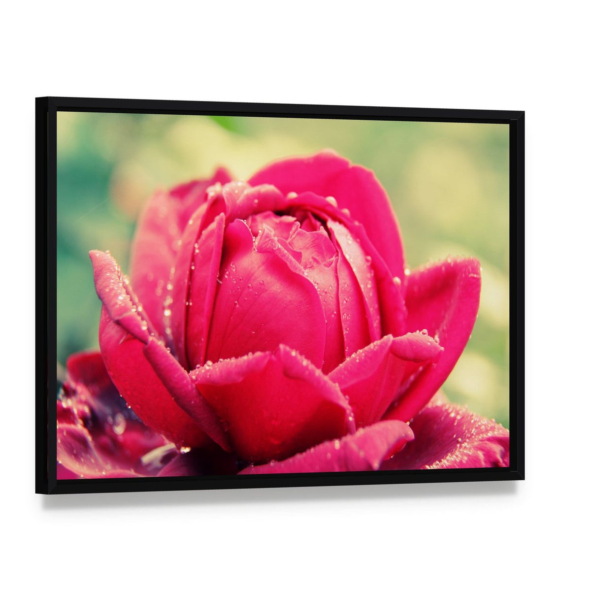 Close Up of Flower Canvas Wall Art, framed canvas in a black floater frame, angled product view