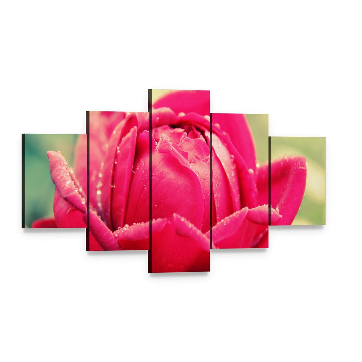 Close Up of Flower Canvas Wall Art, 5 panel 5 Star layout gallery wrapped canvas set, angled product view