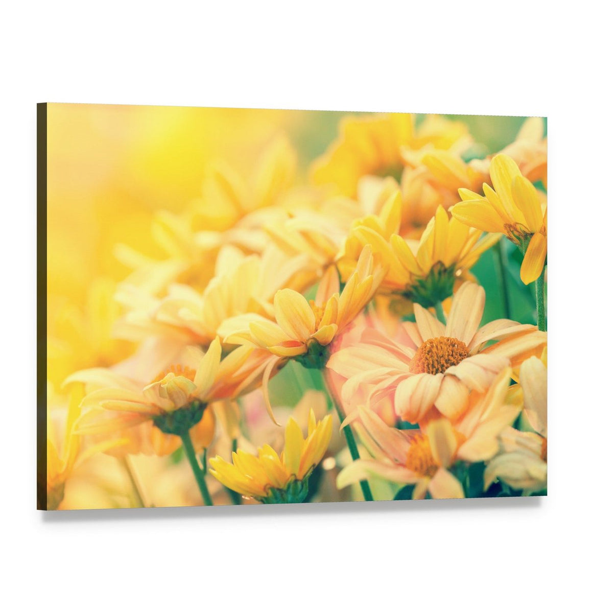 Vintage Flower Lawn Canvas Wall Art, single panel gallery wrapped canvas, angled product view