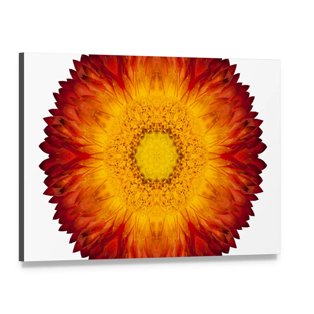 Kaleidoscopic Strawflower Mandala Canvas Wall Art, single panel gallery wrapped canvas, angled product view