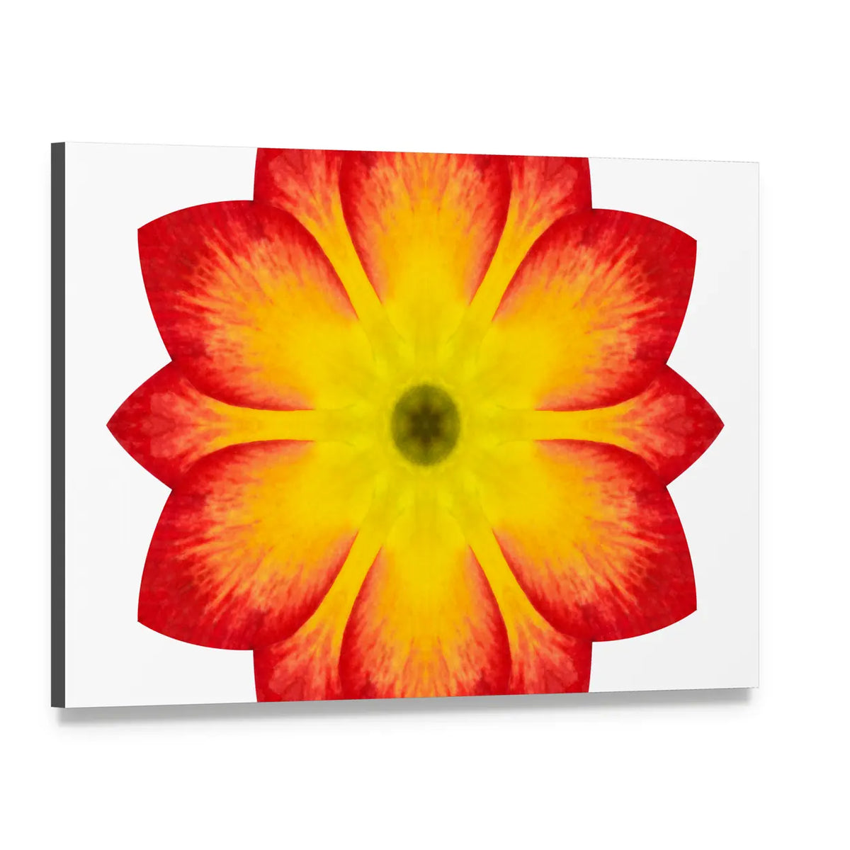 Primrose Mandala Flower Canvas Wall Art, single panel gallery wrapped canvas, angled product view