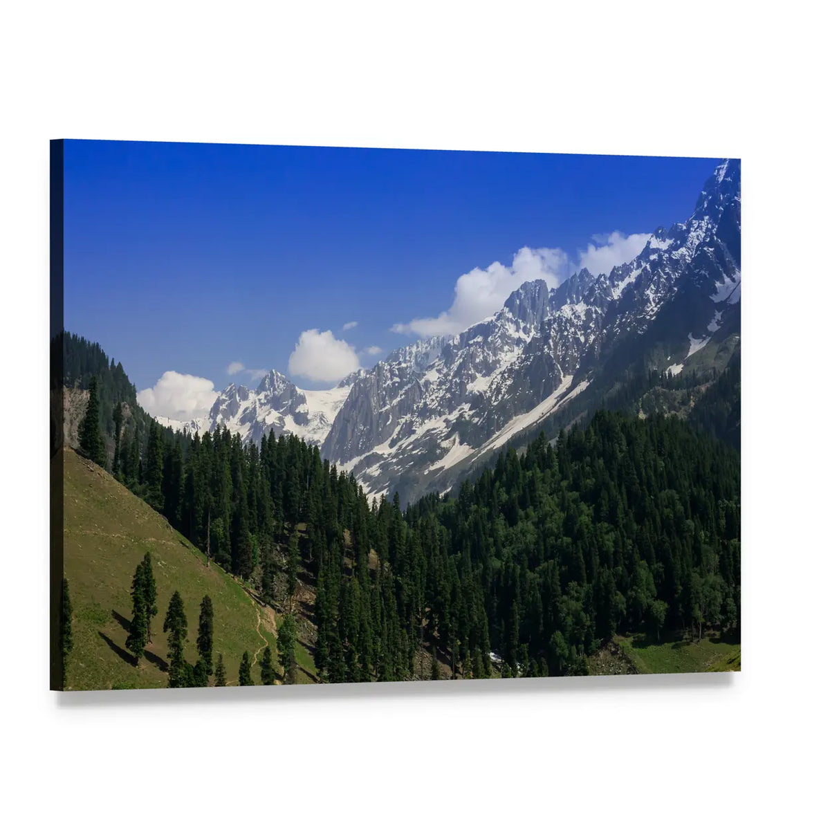 Snow-capped Mountain and Pine Forest Canvas Wall Art, single panel gallery wrapped canvas, angled product view