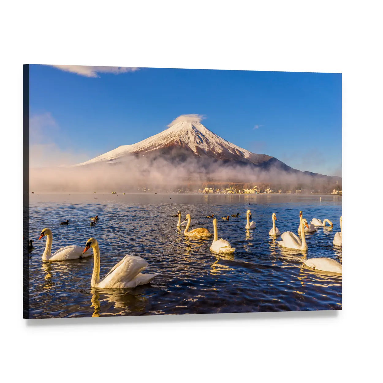 Swans in Front of Mount Fuji Canvas Wall Art, single panel gallery wrapped canvas, angled product view