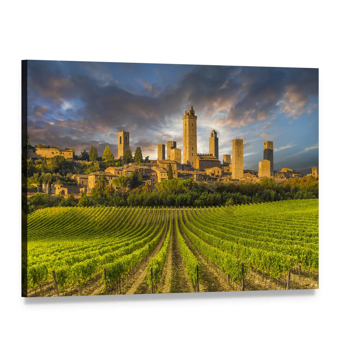 Vineyards of San Gimignano, Tuscany Canvas Wall Art, single panel gallery wrapped canvas, angled product view
