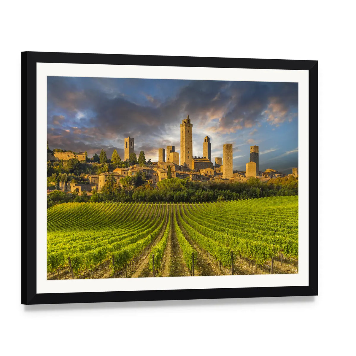 Vineyards of San Gimignano, Tuscany Canvas Wall Art, framed print with white mat and black frame, angled product view