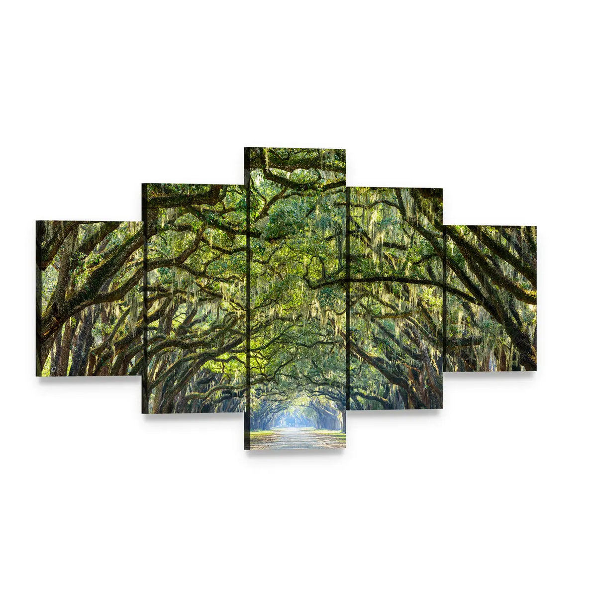 Wormsloe Live Oak Tree Tunnel Canvas Wall Art, 5 panel 5 Star layout gallery wrapped canvas set, angled product view