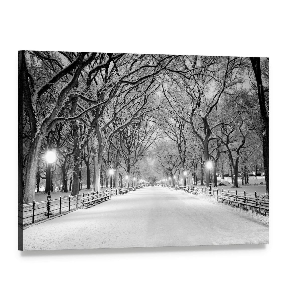 Winter Park Path with Snowy Trees Canvas Wall Art, single panel gallery wrapped canvas, angled product view