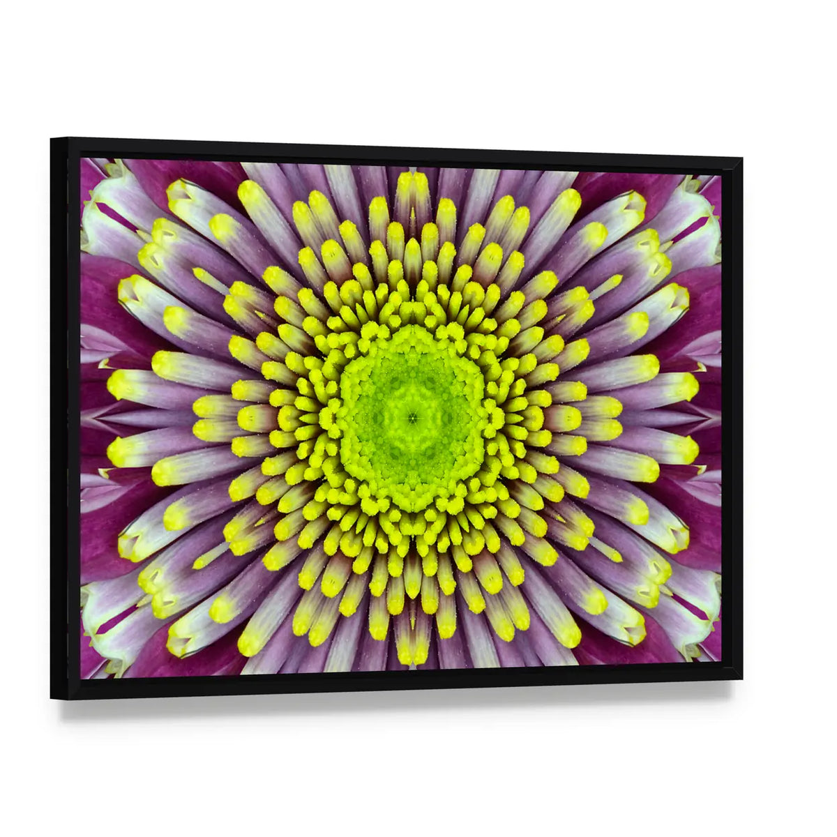 Purple And Green Concentric Flower Canvas Wall Art, framed canvas in a black floater frame, angled product view