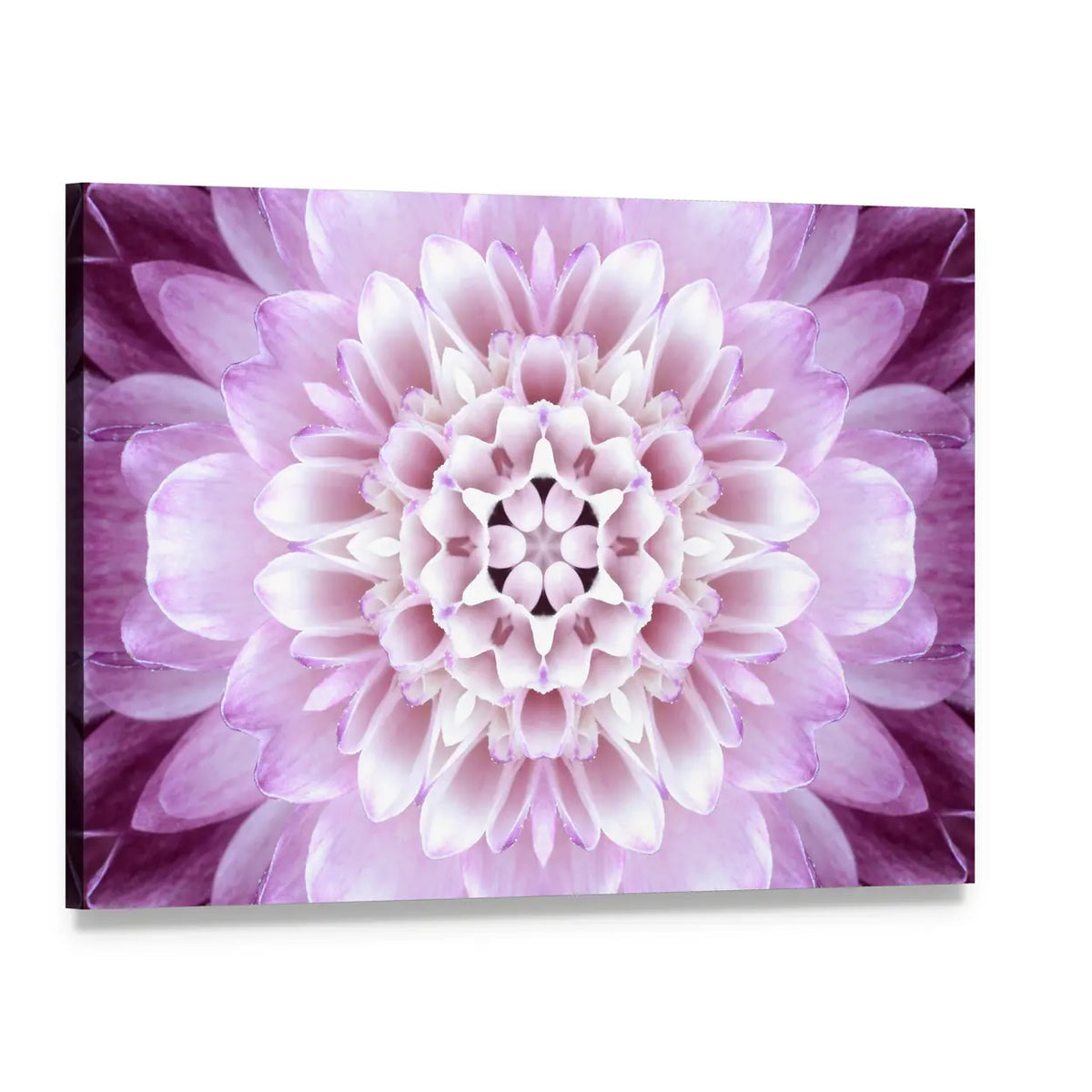 Purple Concentric Flower Canvas Wall Art, single panel gallery wrapped canvas, angled product view