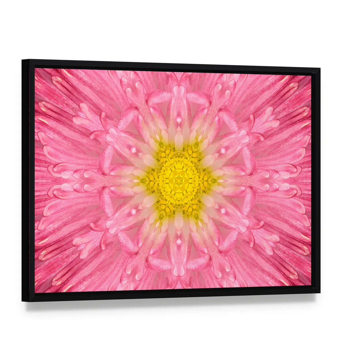 Pink Concentric Flower Canvas Wall Art, framed canvas in a black floater frame, angled product view