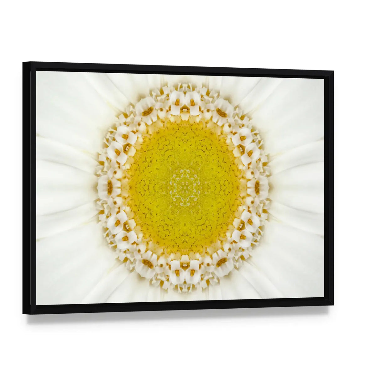 White Concentric Flower Canvas Wall Art, framed canvas in a black floater frame, angled product view