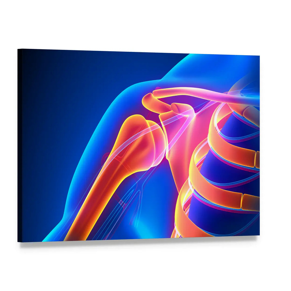 Shoulder Joint Anatomy Canvas Wall Art, single panel gallery wrapped canvas, angled product view