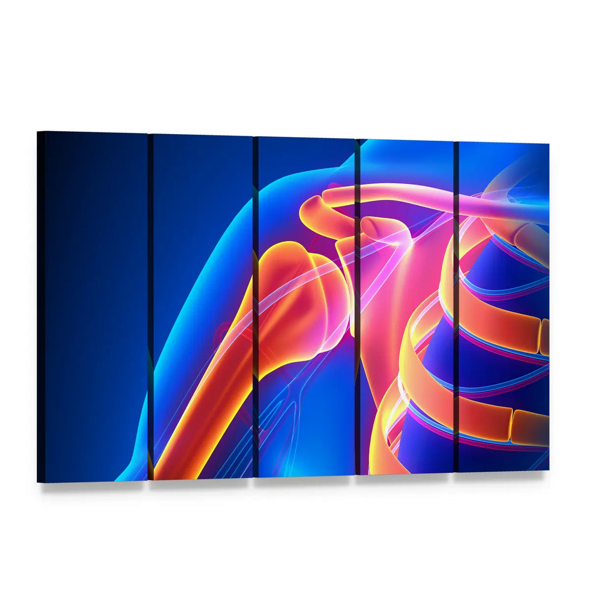 Shoulder Joint Anatomy Canvas Wall Art, 5 panel 5 Horizontal layout gallery wrapped canvas set, angled product view