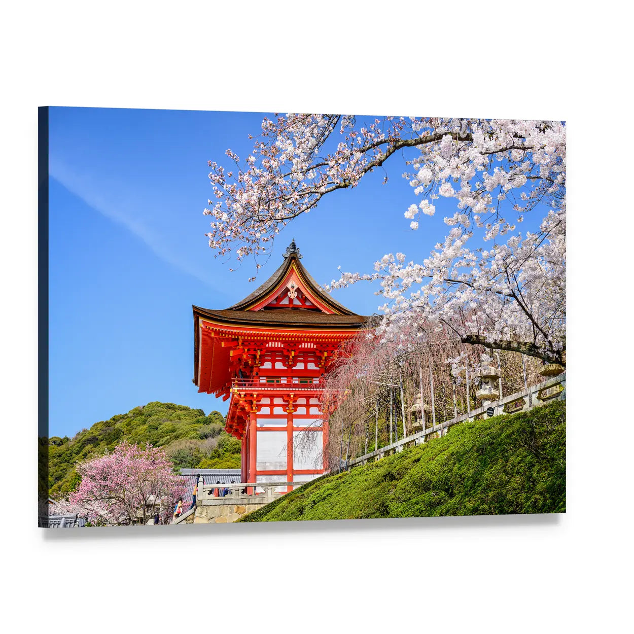 Kiyomizu Dera Temple in Spring Canvas Wall Art, single panel gallery wrapped canvas, angled product view
