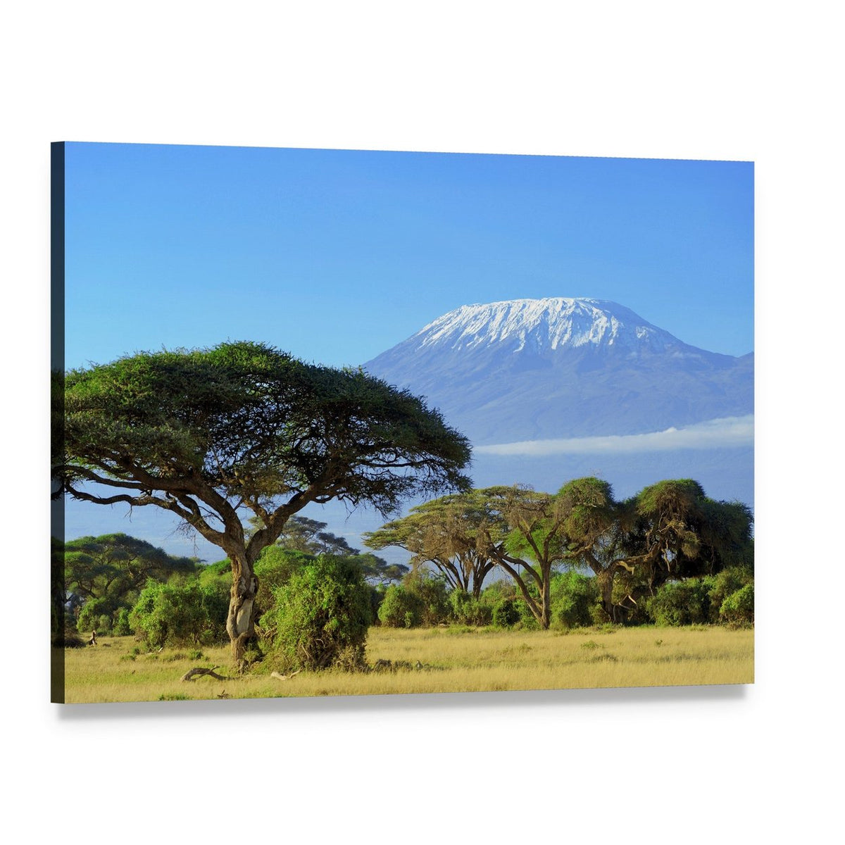 Snow-capped Mount Kilimanjaro Canvas Wall Art, single panel gallery wrapped canvas, angled product view