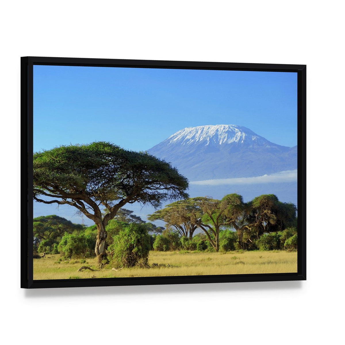 Snow-capped Mount Kilimanjaro Canvas Wall Art, framed canvas in a black floater frame, angled product view