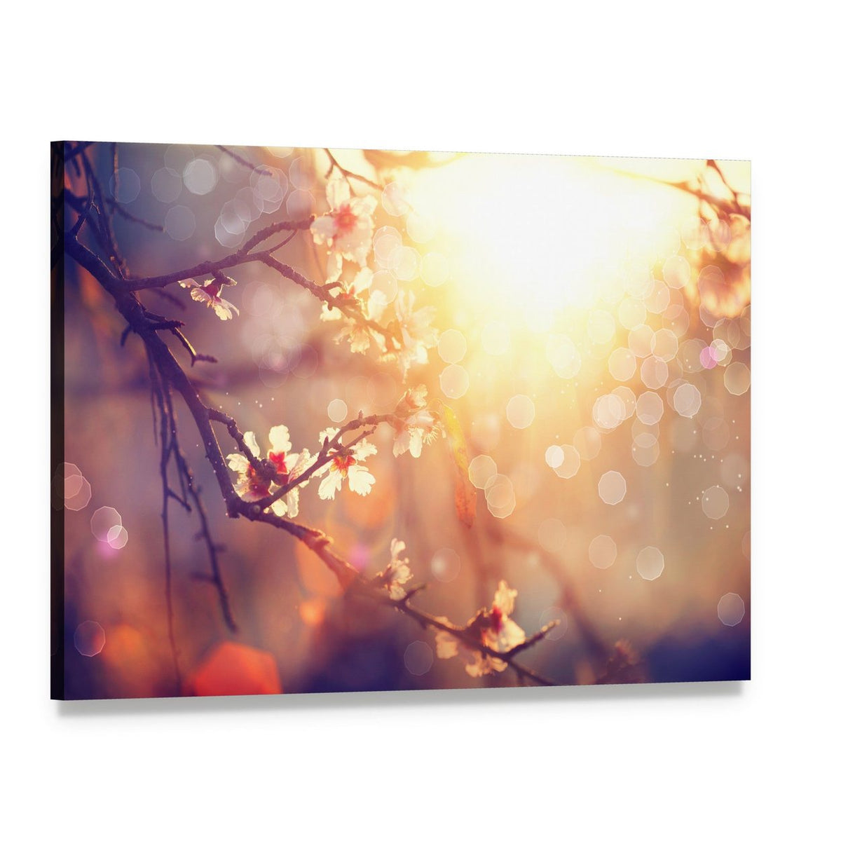Blooming Tree with Sunlight Canvas Wall Art, single panel gallery wrapped canvas, angled product view