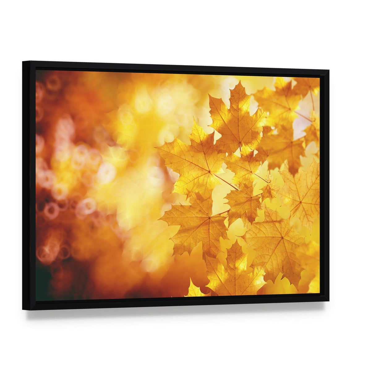 Maple Leaves in Autumn Colors Canvas Wall Art, framed canvas in a black floater frame, angled product view