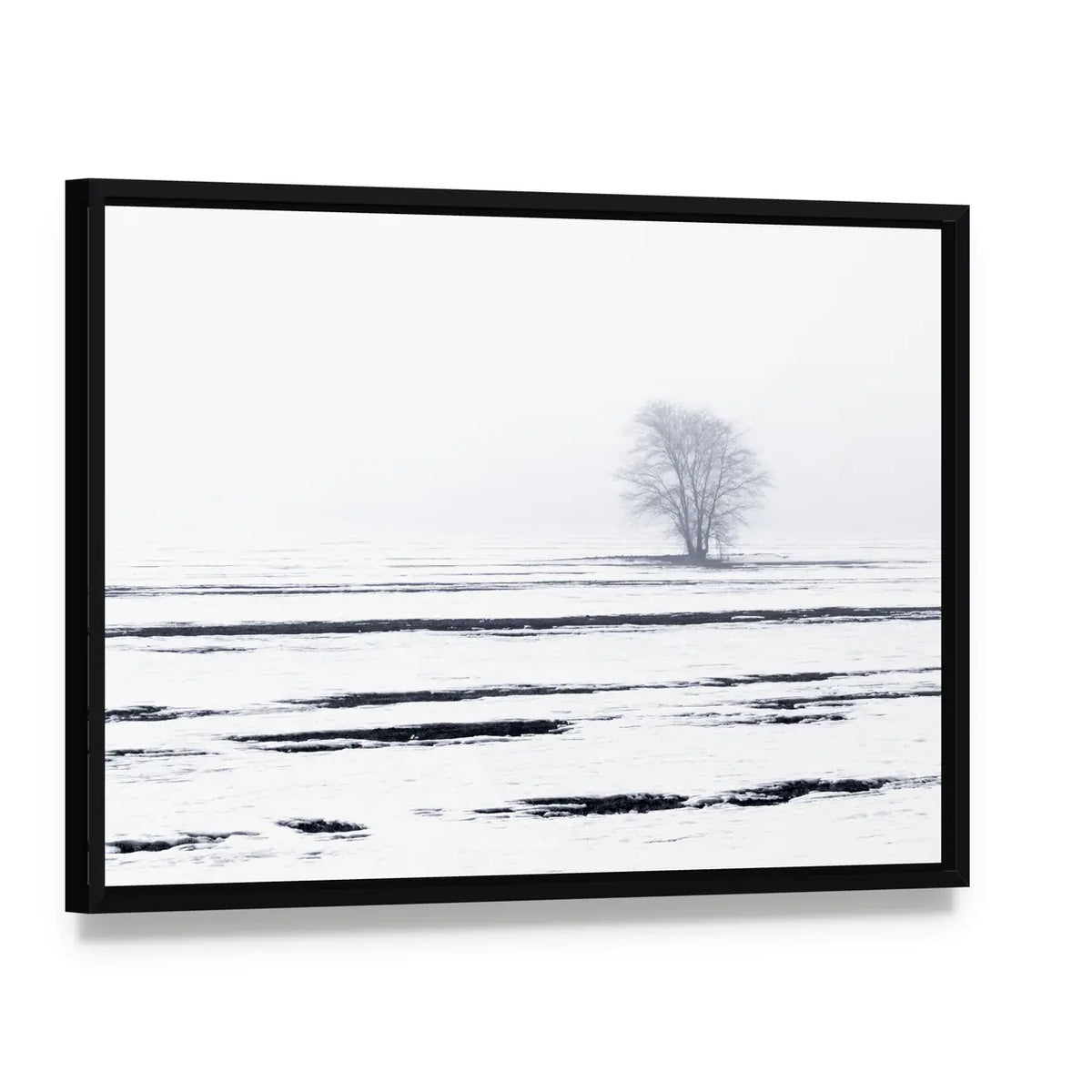 Solitary Tree in Snowy Field Canvas Wall Art, framed canvas in a black floater frame, angled product view