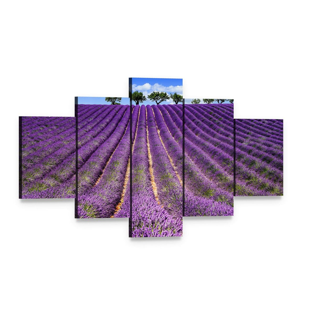 Lavender Field in France Canvas Wall Art, 5 panel 5 Star layout gallery wrapped canvas set, angled product view