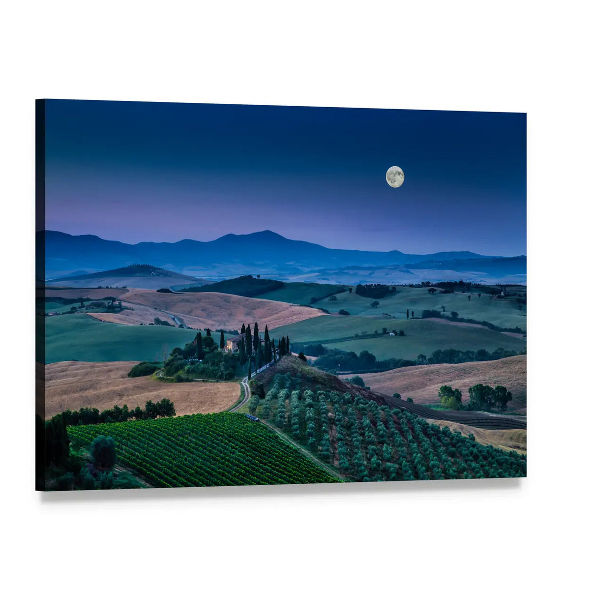 Twilight Vineyard Hills with Cypress Trees Canvas Wall Art, single panel gallery wrapped canvas, angled product view