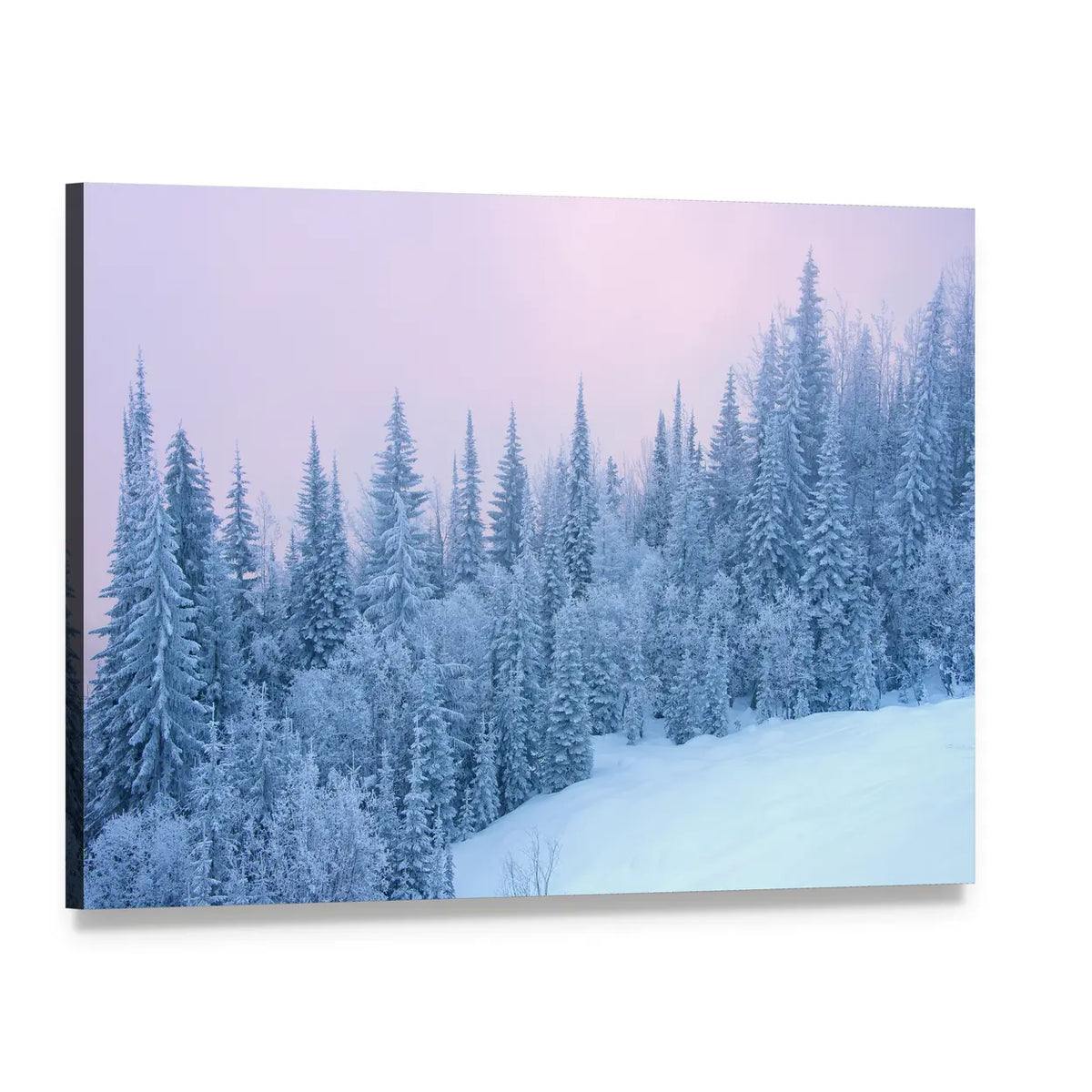 Winter Forest At The Sunset With Fog Canvas Wall Art, single panel gallery wrapped canvas, angled product view