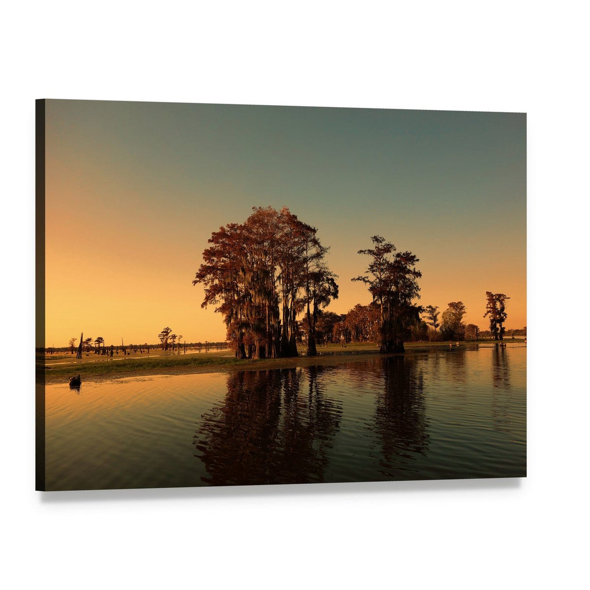 Bayou Cypress Trees at Sunset Canvas Wall Art, single panel gallery wrapped canvas, angled product view