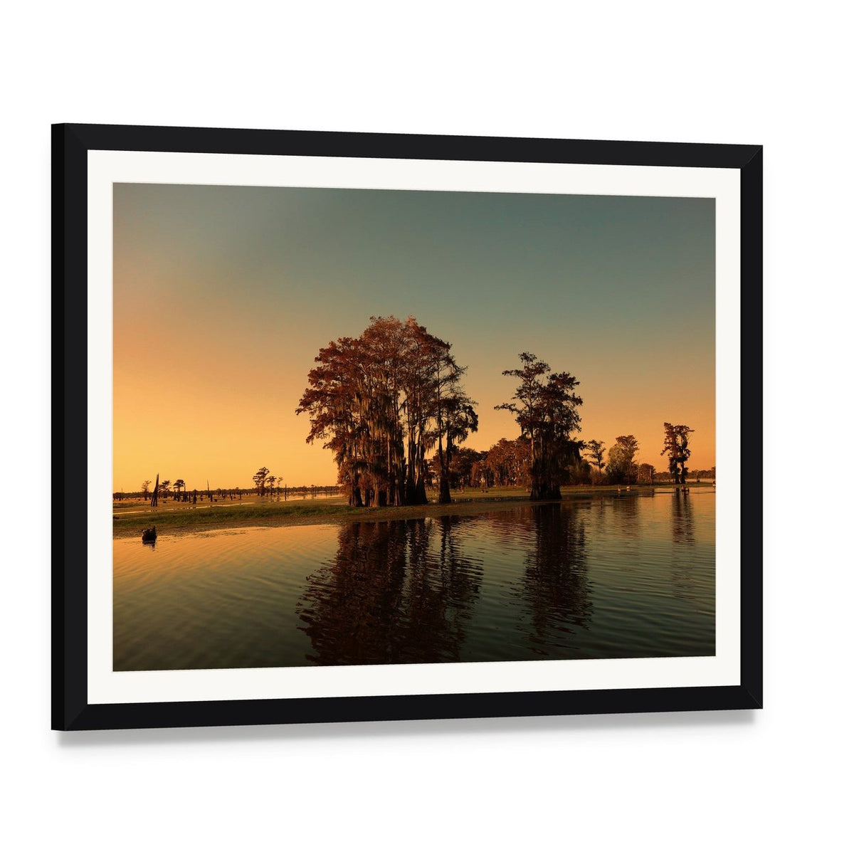 Bayou Cypress Trees at Sunset Canvas Wall Art, framed print with white mat and black frame, angled product view