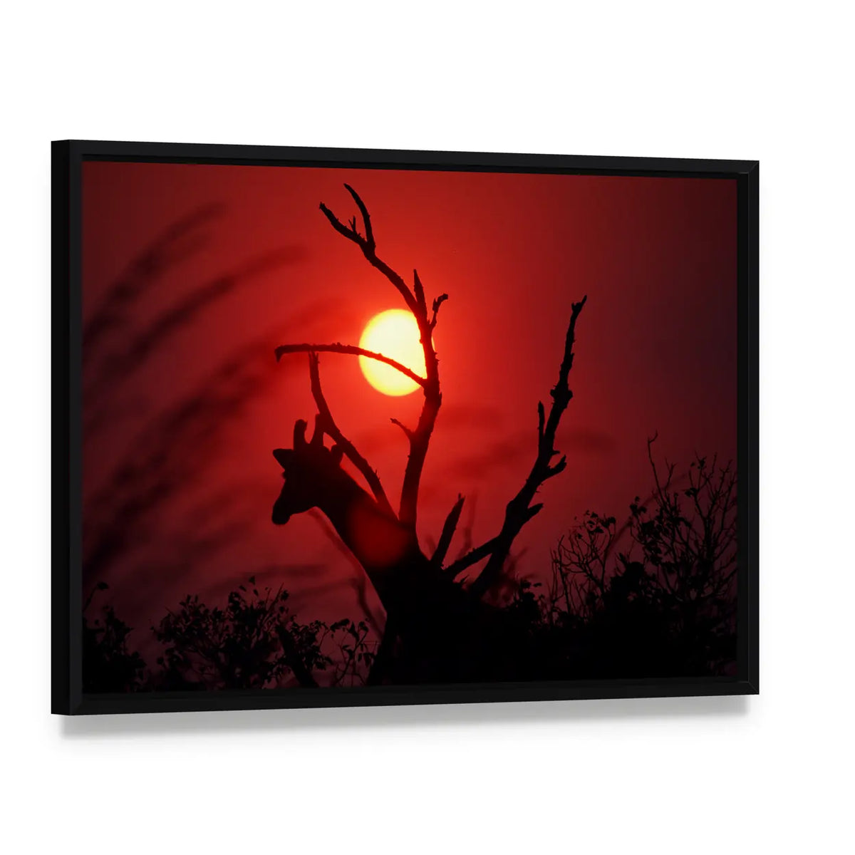 An African Sunset In Mikumi Forest Tanzania Canvas Wall Art, framed canvas in a black floater frame, angled product view
