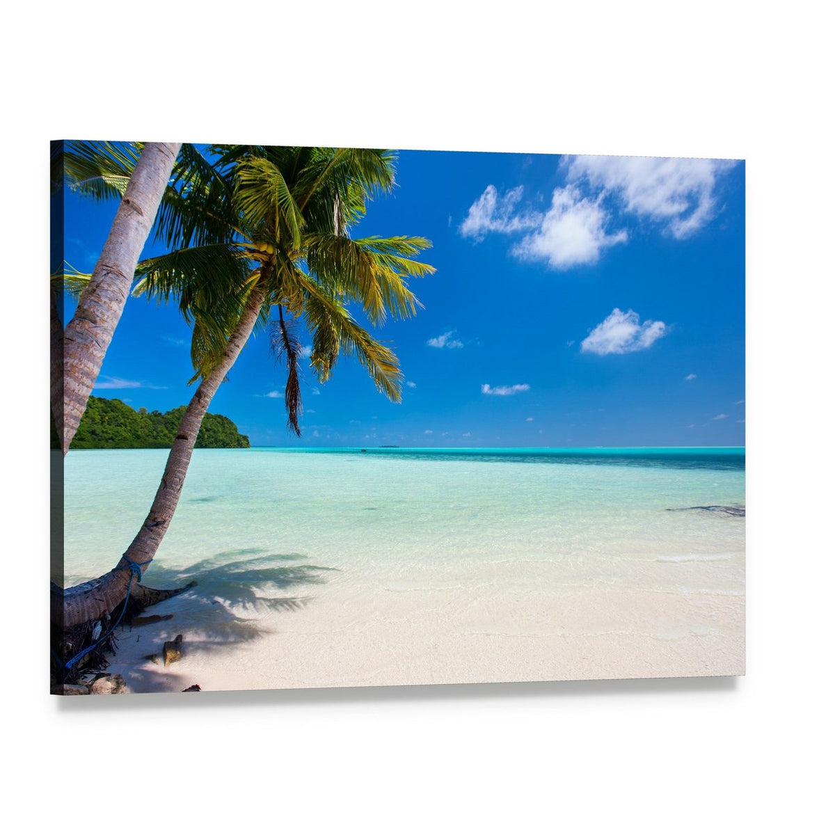 Tropical Beach with Palm Trees at Palau Canvas Wall Art, single panel gallery wrapped canvas, angled product view