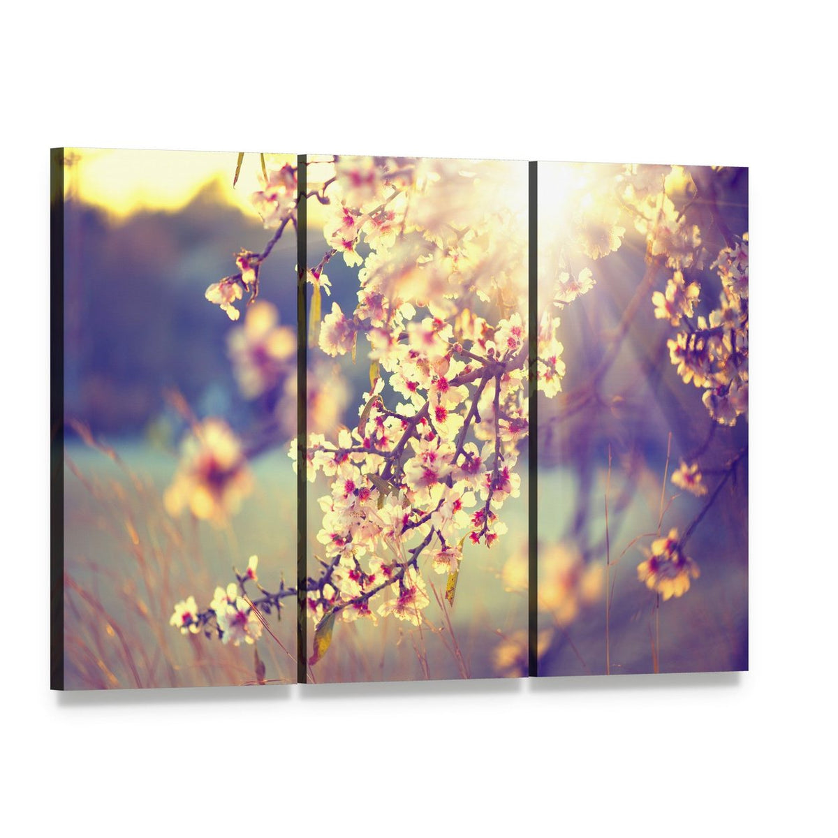 Blooming Tree & Sun Flare Canvas Wall Art, 3 panel 3 Horizontal layout gallery wrapped canvas set, angled product view