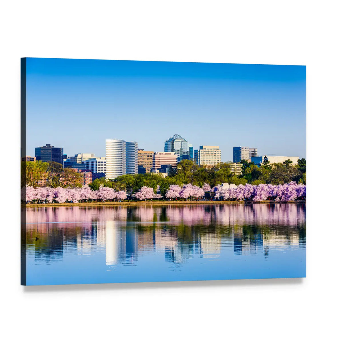 Tidal Basin with Cherry Blossoms Canvas Wall Art, single panel gallery wrapped canvas, angled product view