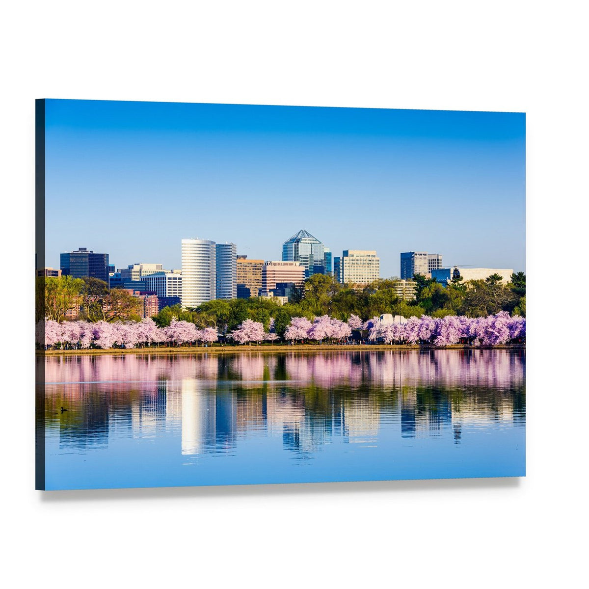 Tidal Basin Cherry Blossoms Reflection Canvas Wall Art, single panel gallery wrapped canvas, angled product view