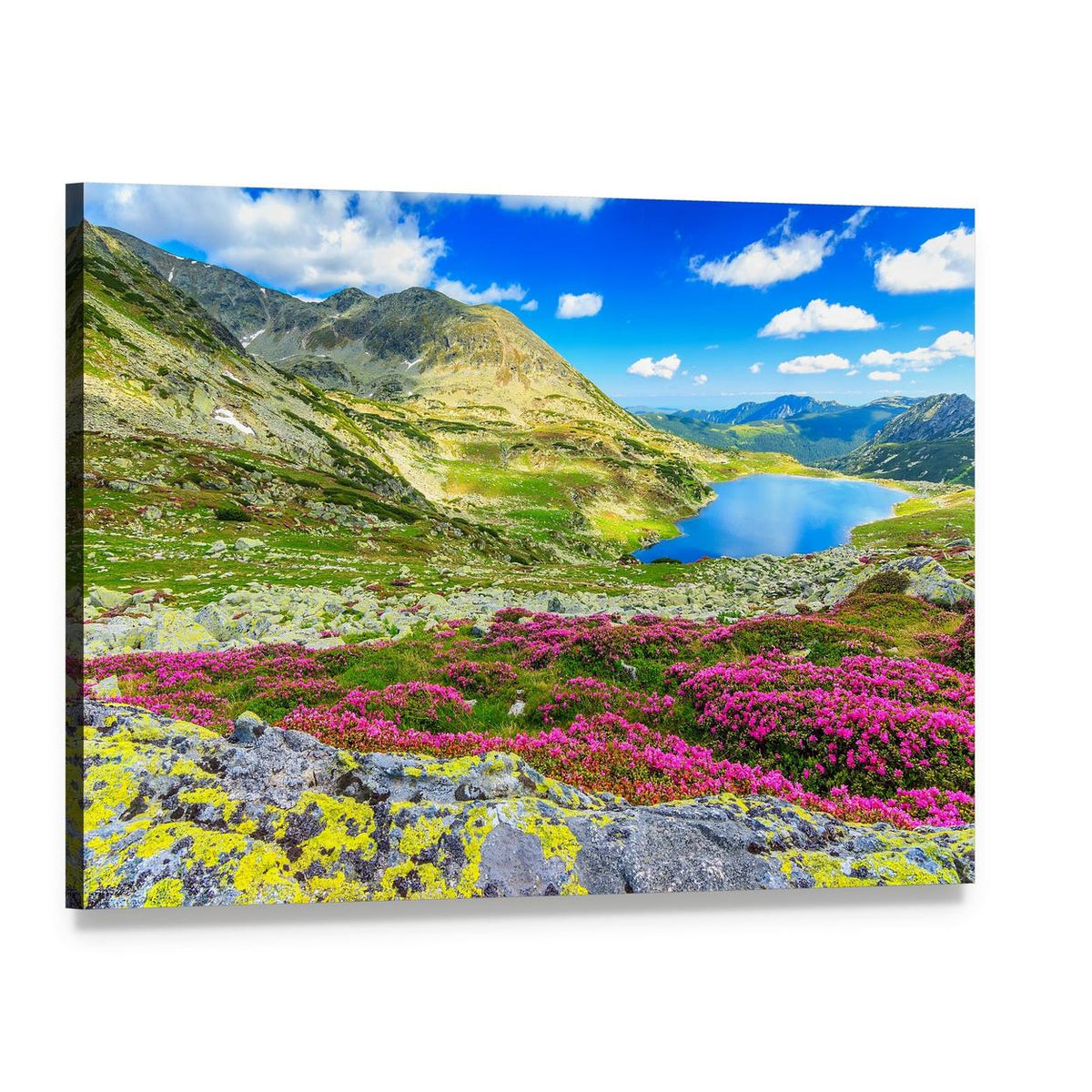 Glacier Lake with Wildflowers Canvas Wall Art, single panel gallery wrapped canvas, angled product view