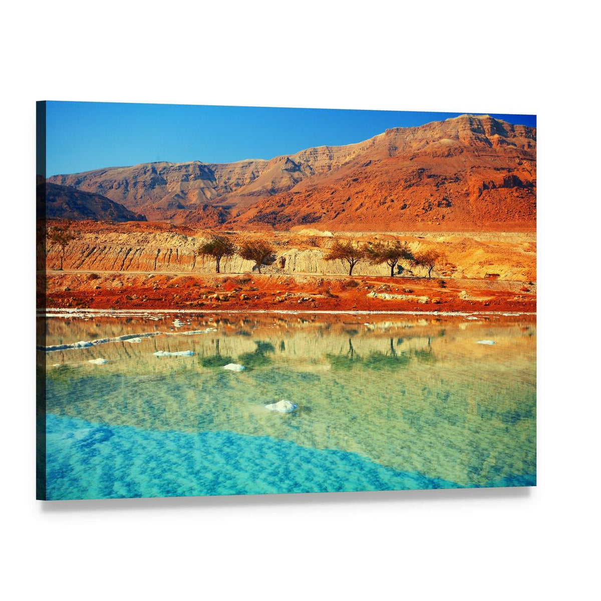 Dead Sea Salt Shore Canvas Wall Art, single panel gallery wrapped canvas, angled product view