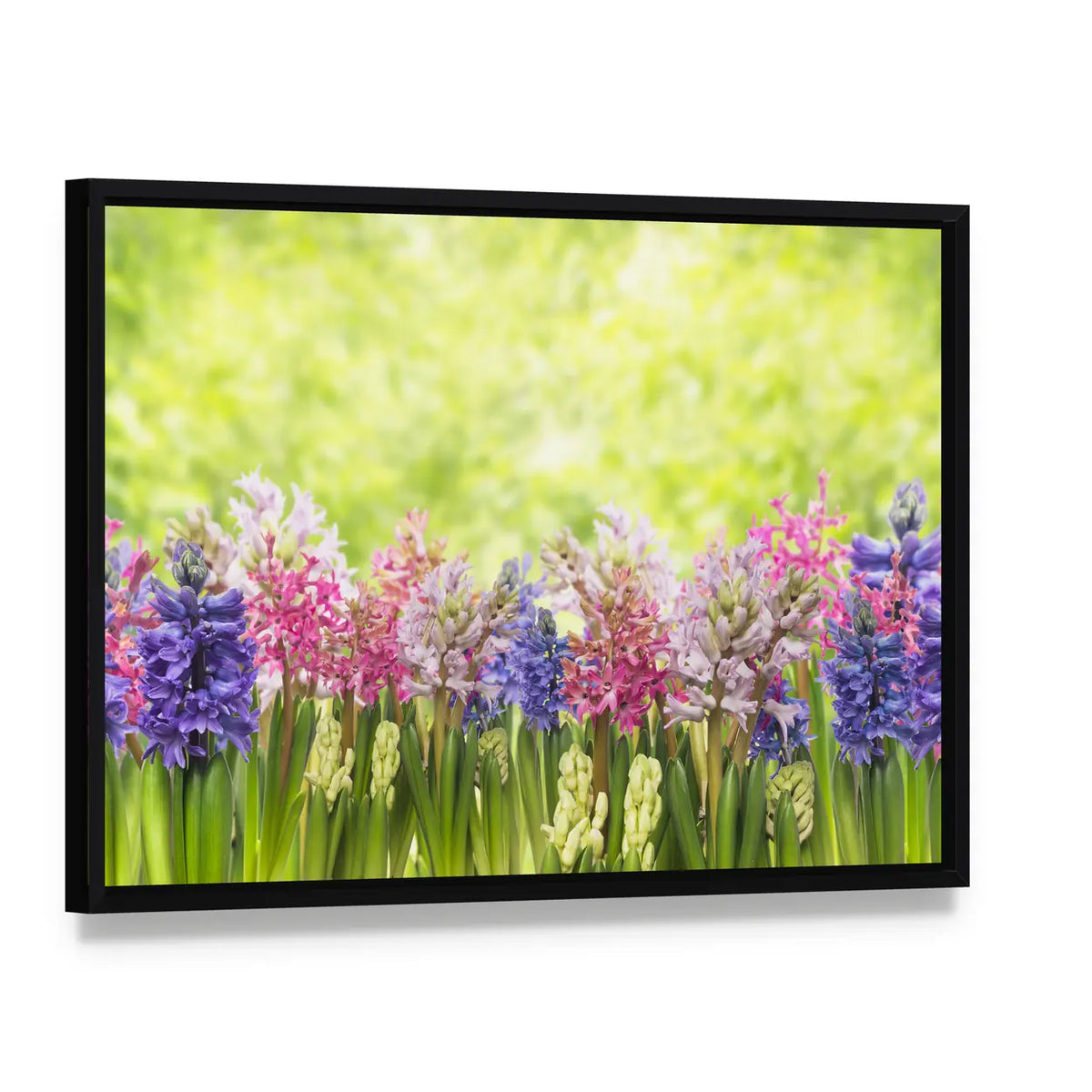 Blooming Spring Hyacinths Flowers Plant In Garden Canvas Wall Art, framed canvas in a black floater frame, angled product view