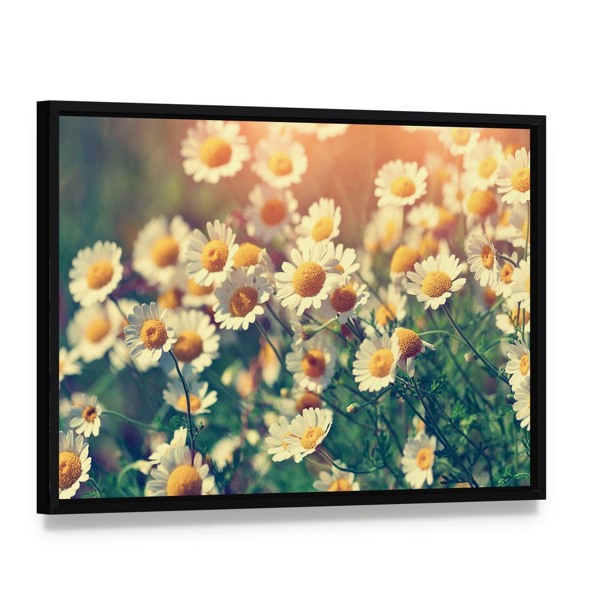 Vintage Wilde Chamomile Flowers Canvas Wall Art, framed canvas in a black floater frame, angled product view