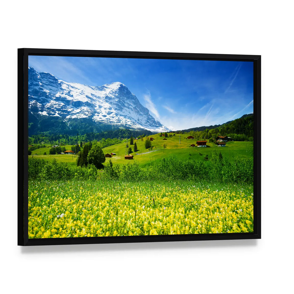 Swiss Alpine Wildflower Meadow Canvas Wall Art, framed canvas in a black floater frame, angled product view