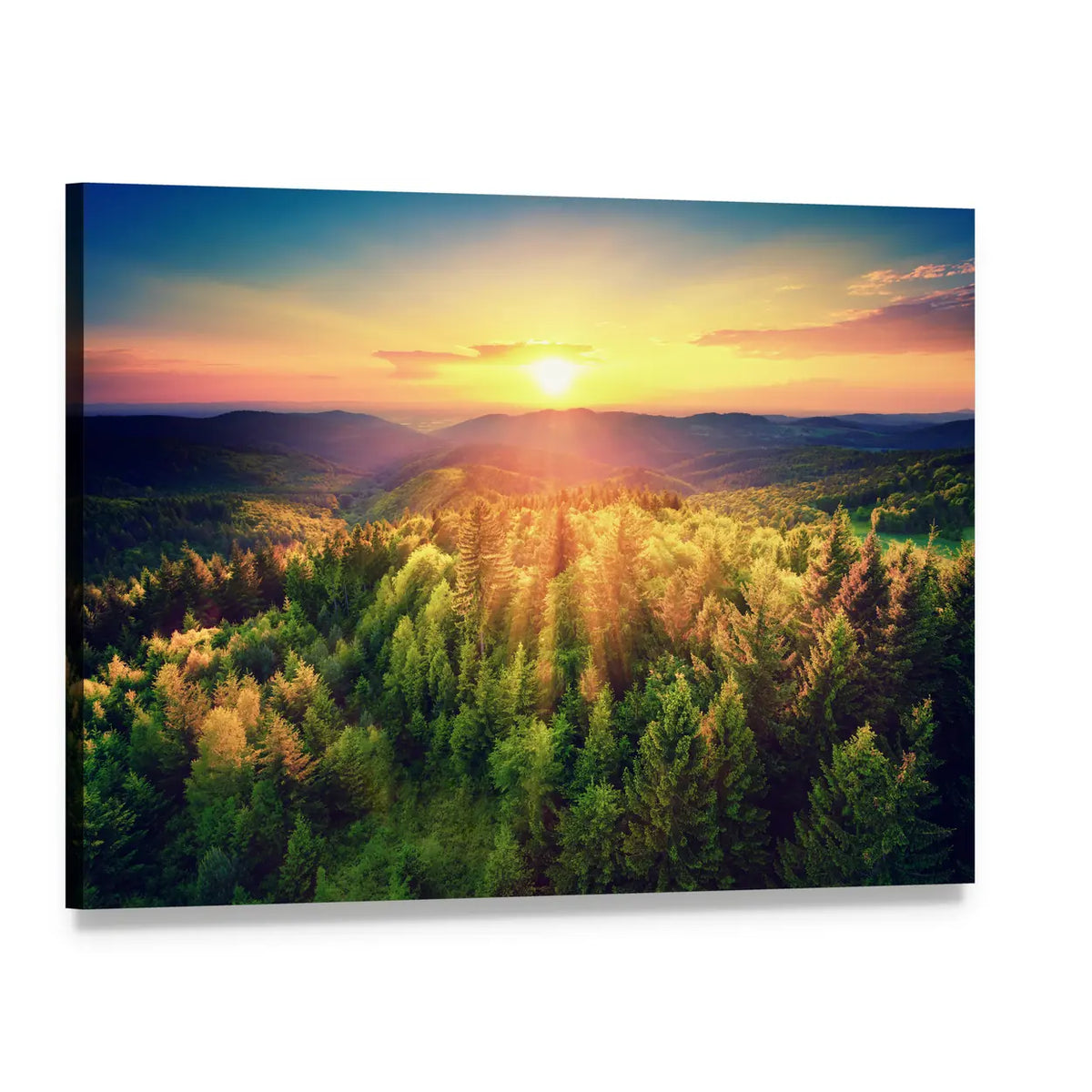 Golden Sunset Over Conifer Forest Canvas Wall Art, single panel gallery wrapped canvas, angled product view