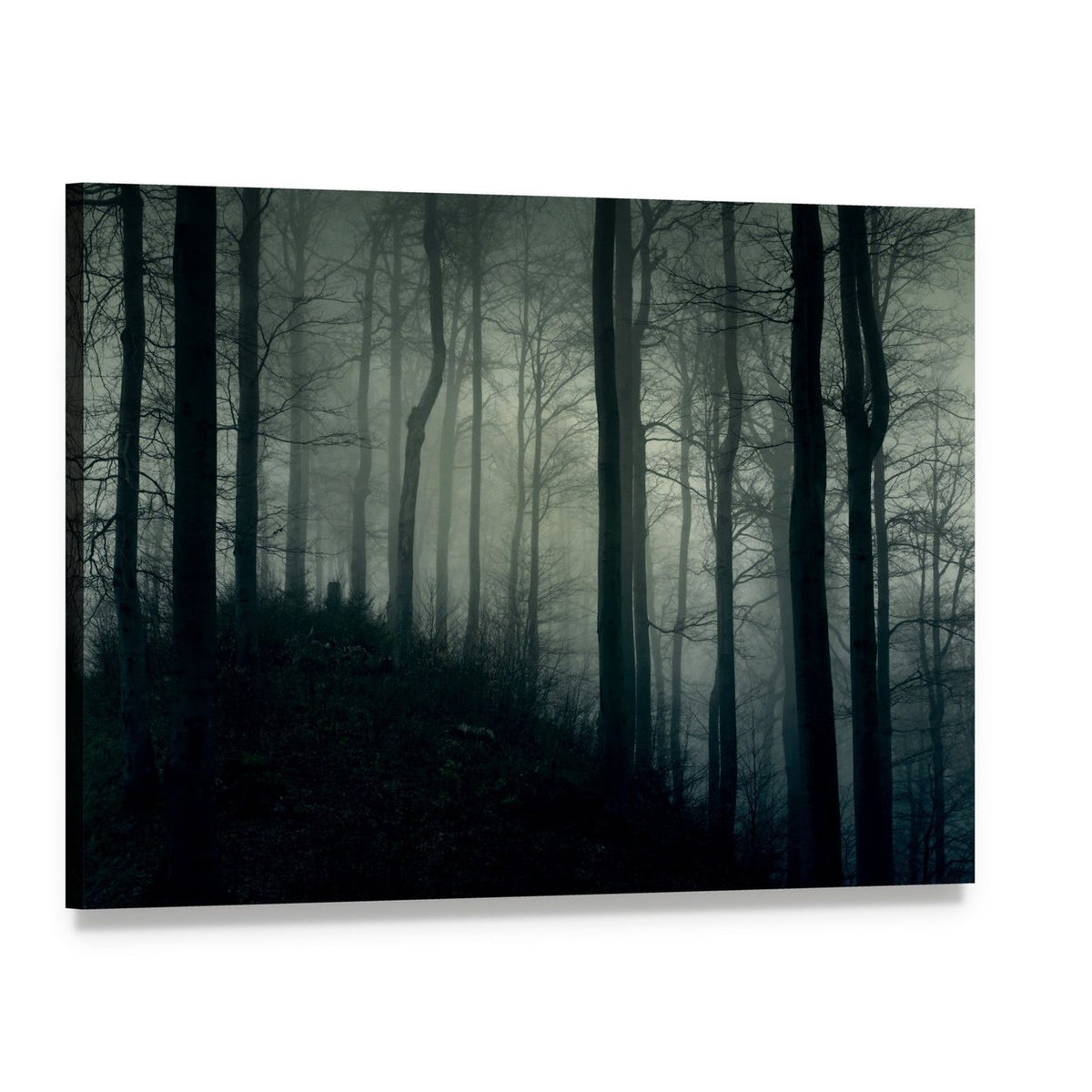Foggy Jungle Horror Canvas Wall Art, single panel gallery wrapped canvas, angled product view