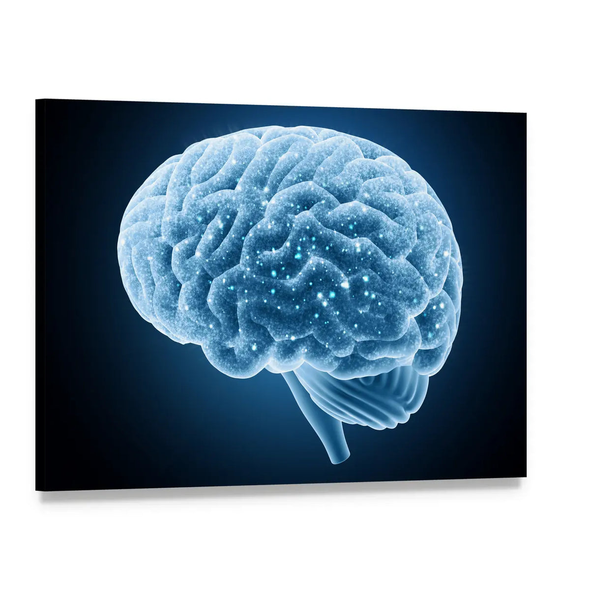 Human Brain Structure Canvas Wall Art, single panel gallery wrapped canvas, angled product view