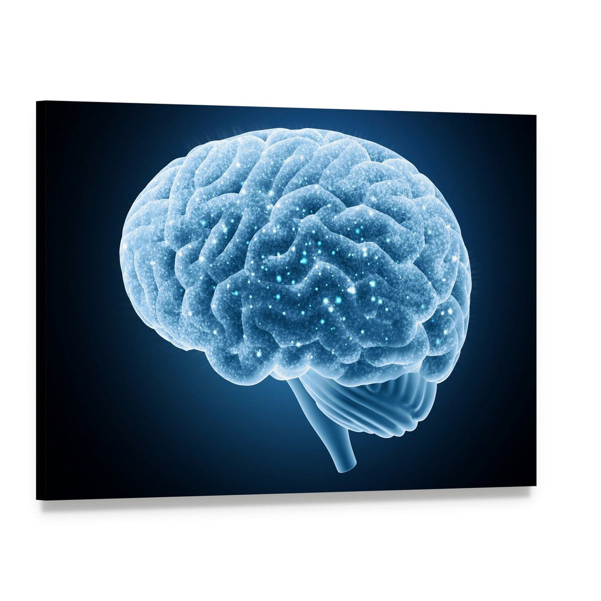 Glowing Blue Brain Structure Canvas Wall Art, single panel gallery wrapped canvas, angled product view